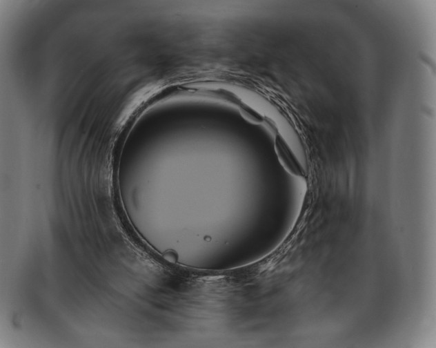 X0000091460054200708231325