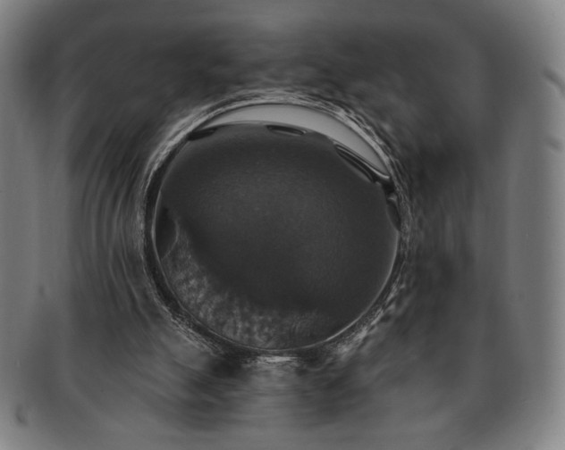 X0000091460055200708231325