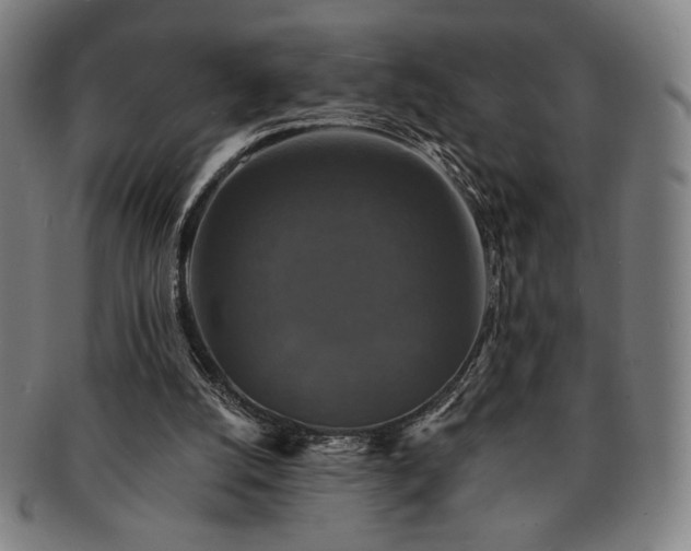 X0000091460056200708231325