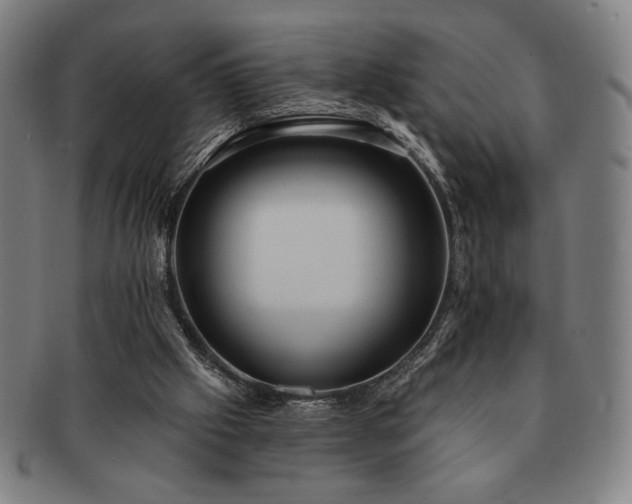 X0000091460057200708231325