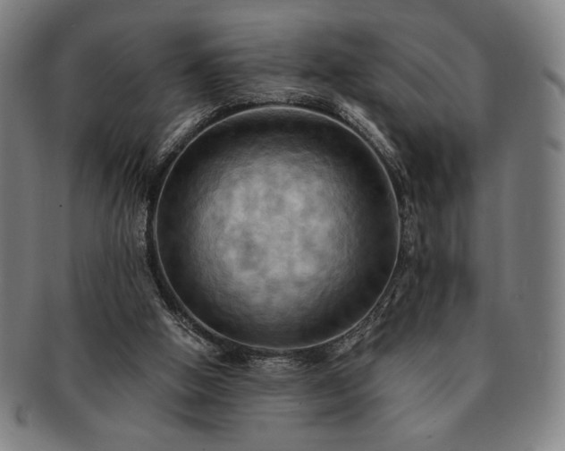 X0000091460058200708231325