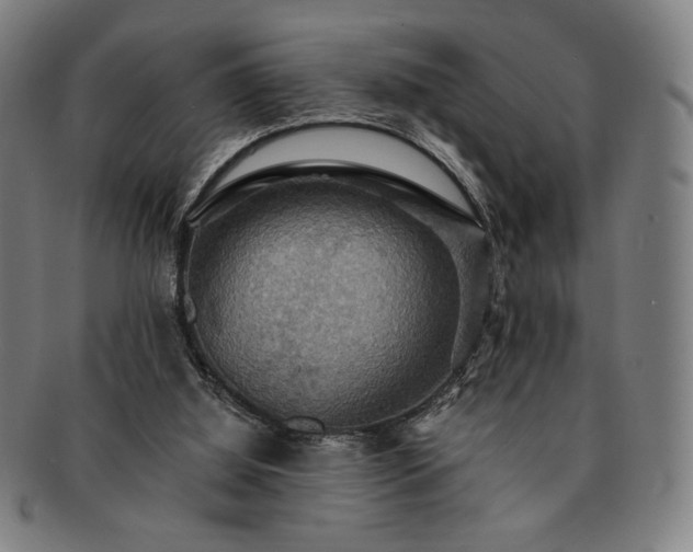 X0000091460060200708231325