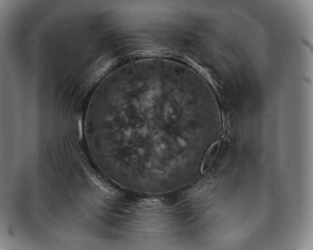 X0000091460061200708231325