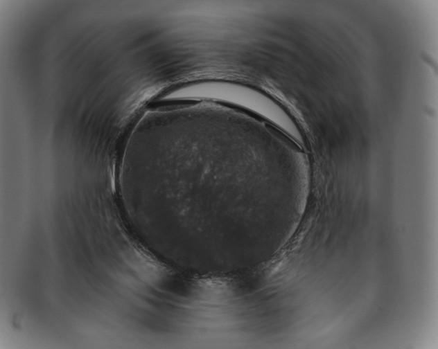 X0000091460062200708231325