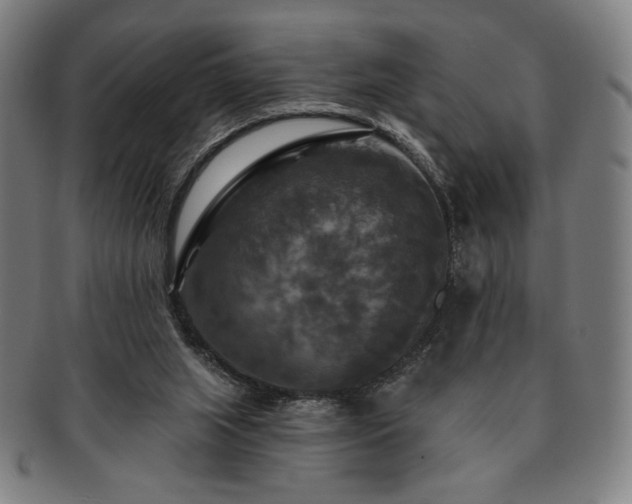 X0000091460063200708231325