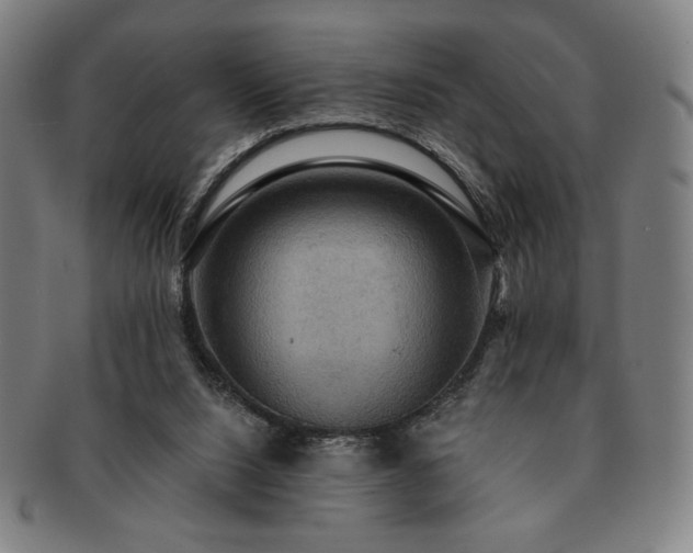 X0000091460064200708231325