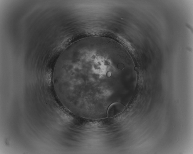 X0000091460065200708231325