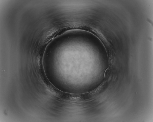 X0000091460066200708231325