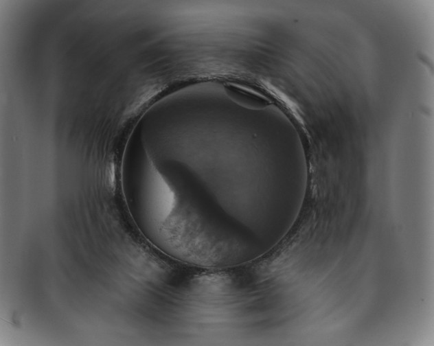 X0000091460067200708231325