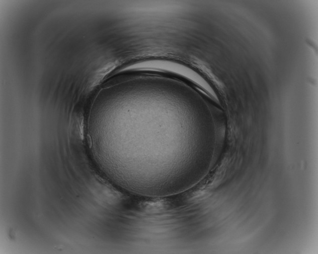 X0000091460068200708231325