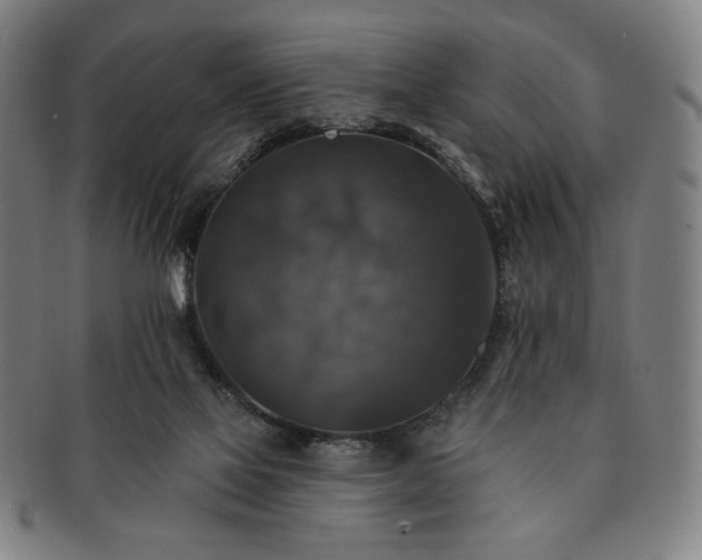 X0000091460069200708231325