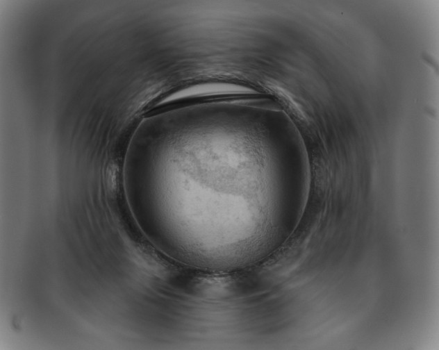 X0000091460071200708231325