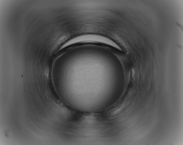 X0000091460072200708231325