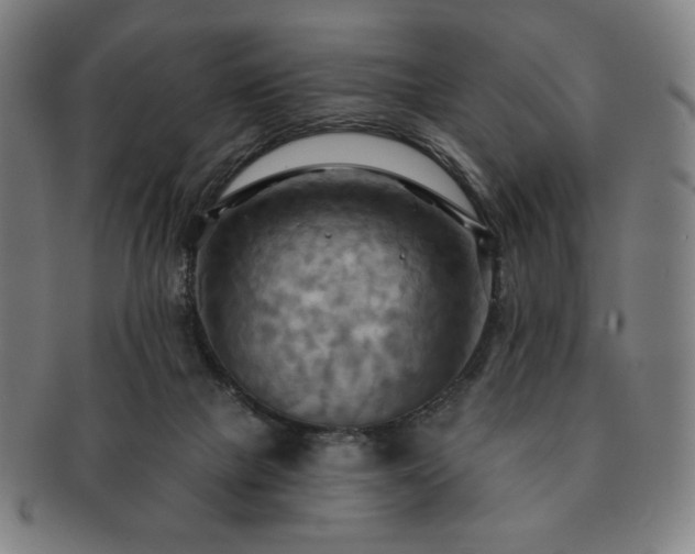 X0000091460073200708231325