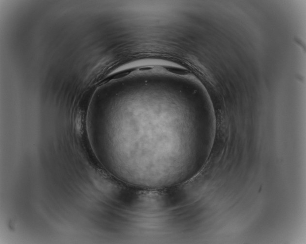 X0000091460074200708231325