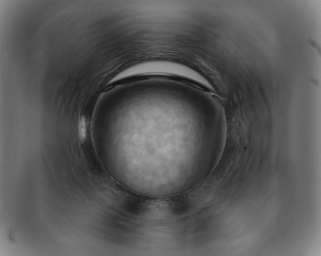 X0000091460075200708231325