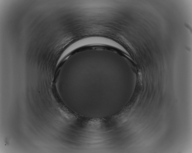 X0000091460076200708231325