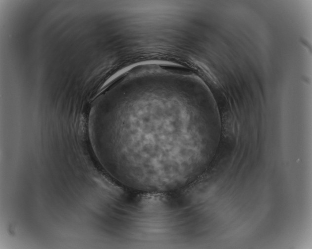 X0000091460077200708231325