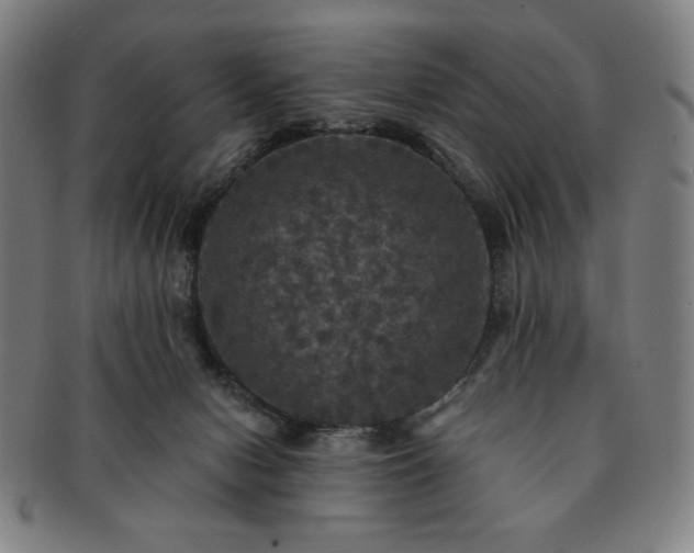 X0000091460078200708231325