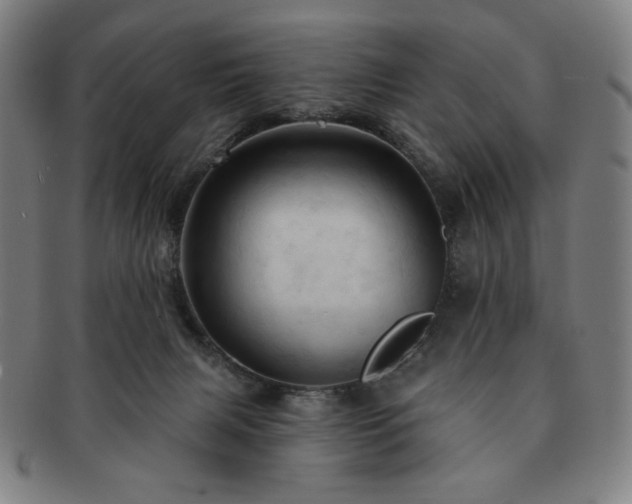 X0000091460079200708231325