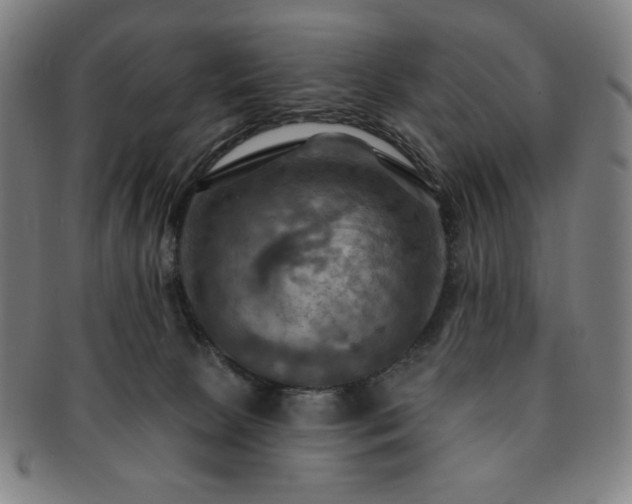 X0000091460081200708231325