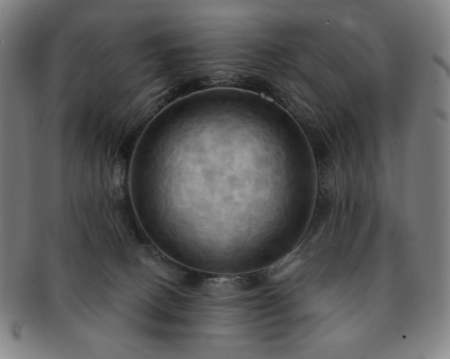 X0000091460082200708231325