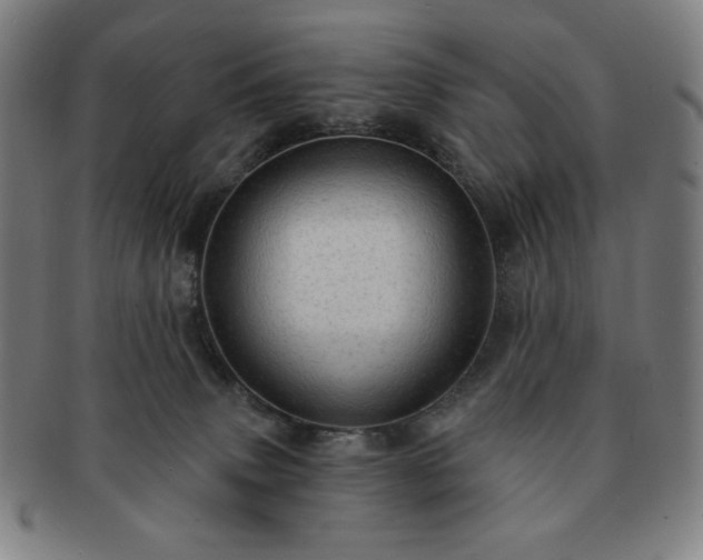 X0000091460083200708231326