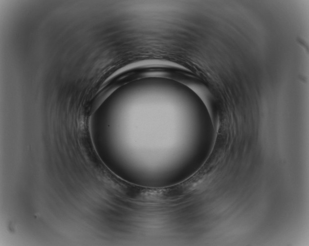 X0000091460084200708231326