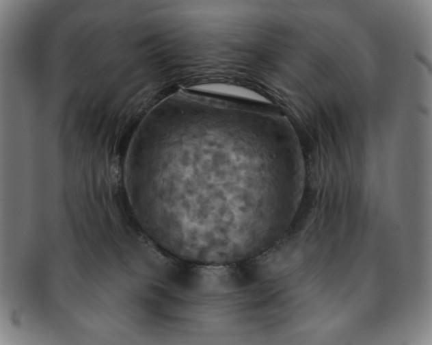 X0000091460085200708231326