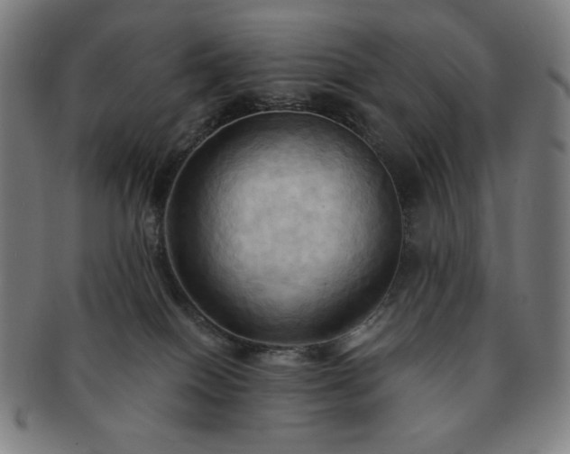 X0000091460086200708231326