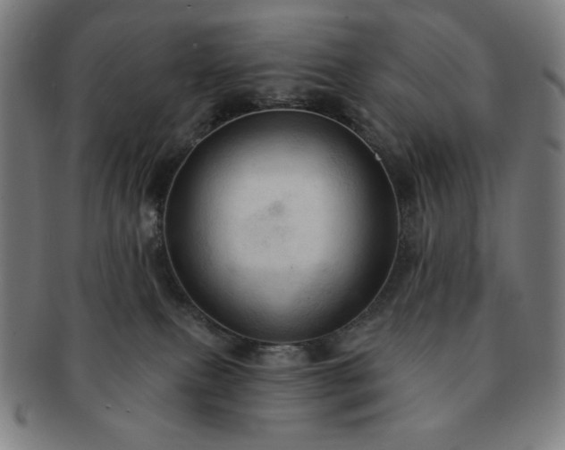 X0000091460087200708231326