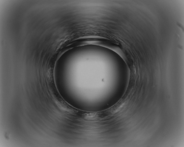 X0000091460088200708231326