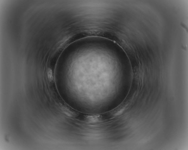 X0000091460089200708231326