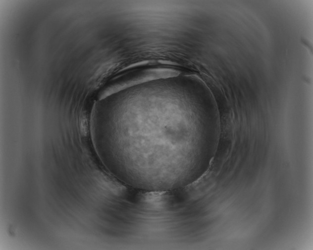 X0000091460090200708231326