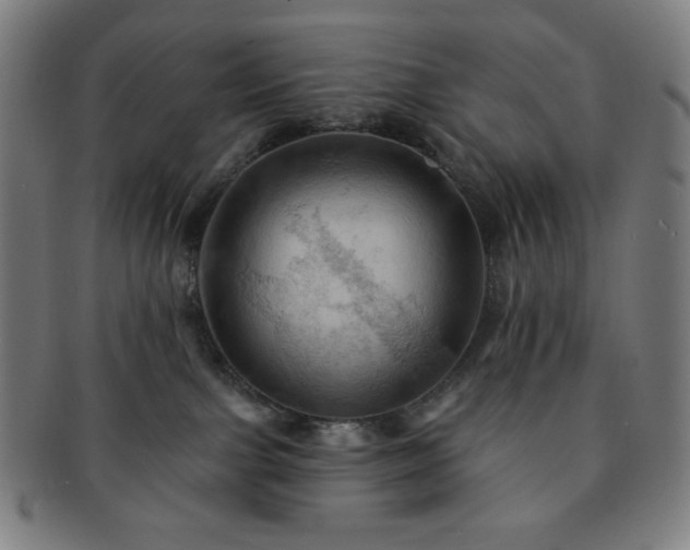 X0000091460091200708231326