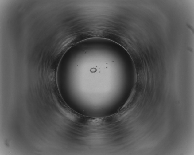 X0000091460092200708231326