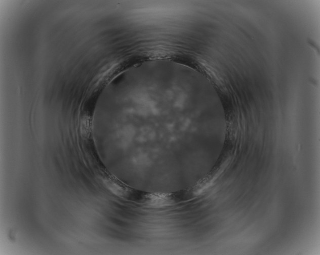 X0000091460093200708231326