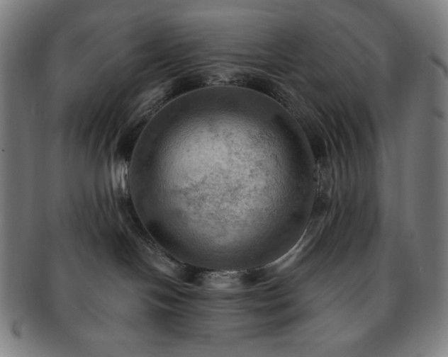 X0000091460094200708231326