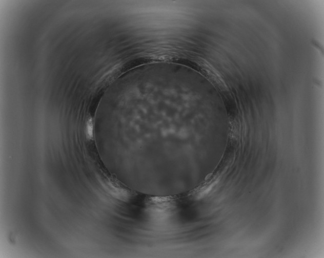 X0000091460095200708231326