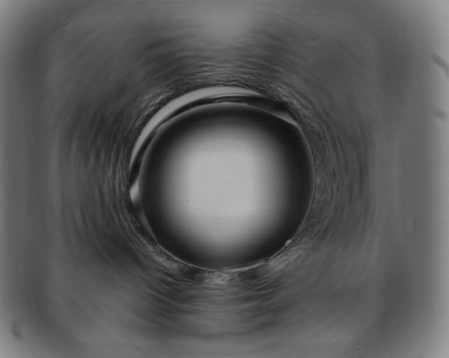 X0000091460096200708231326