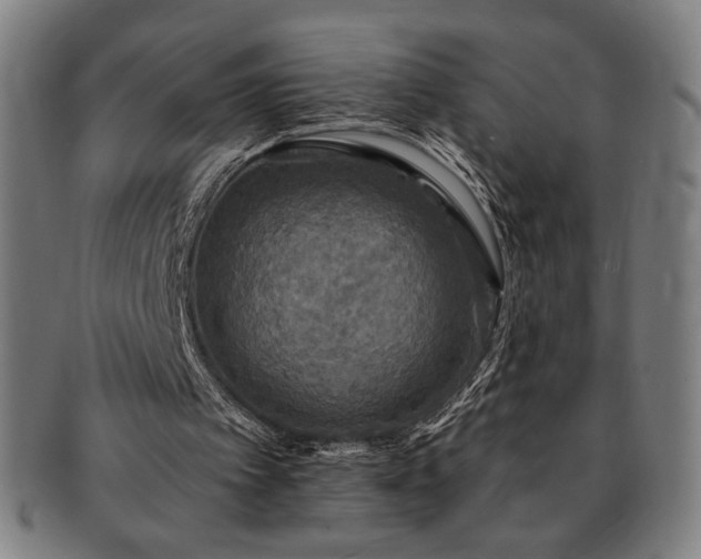 X0000091460097200708231325