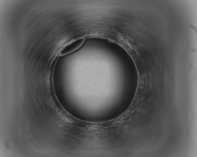 X0000091460098200708231325