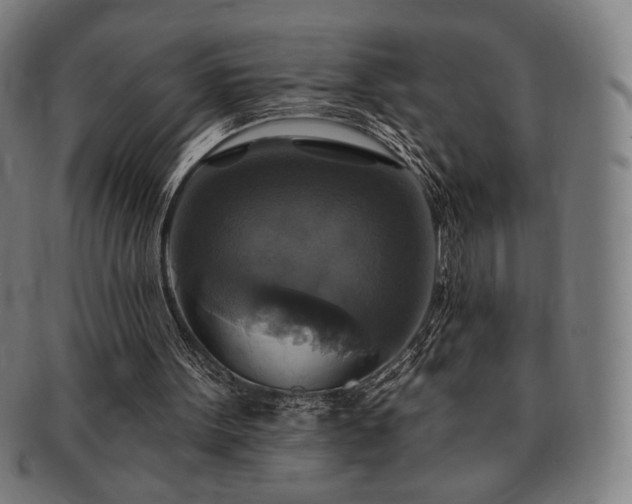 X0000091460099200708231325