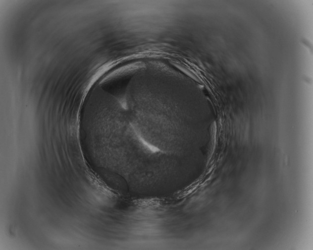 X0000091460100200708231325