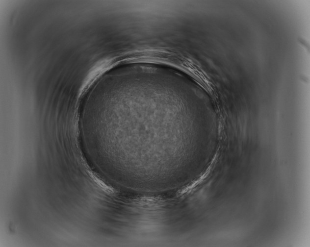 X0000091460101200708231325