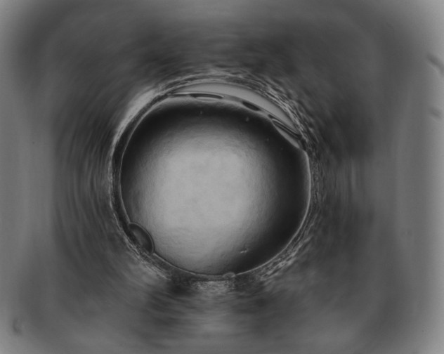 X0000091460102200708231325