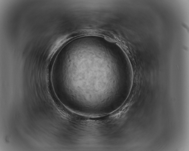 X0000091460103200708231325