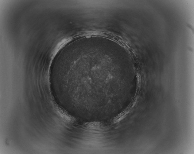 X0000091460104200708231325