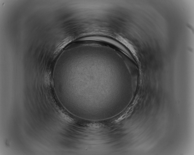 X0000091460105200708231325