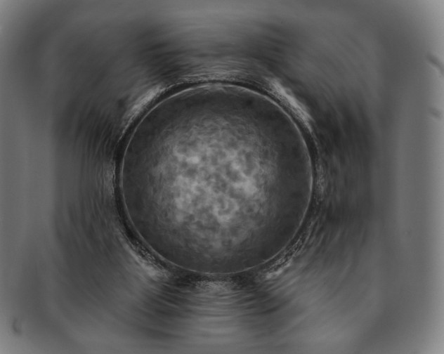 X0000091460107200708231325